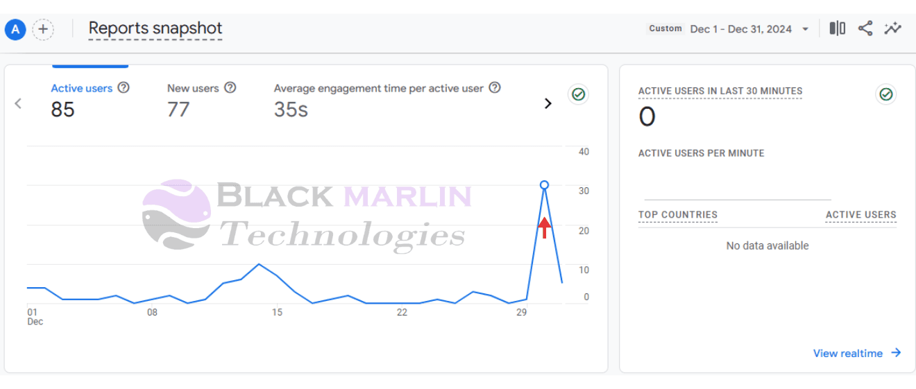 Google Analytics Report - New Earth Harmony Center