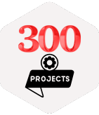 300+ SEO Projects