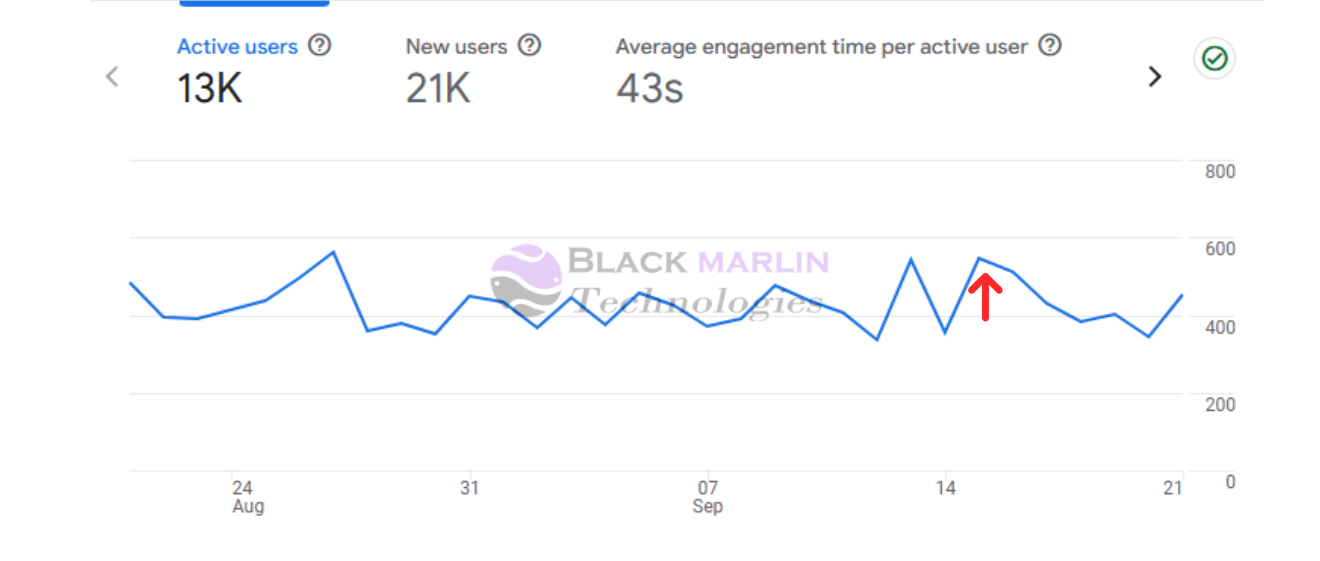 Facfox Google Analytics Report