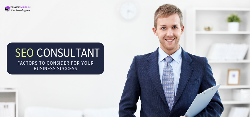 SEO Consultant
