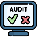 Website Audit