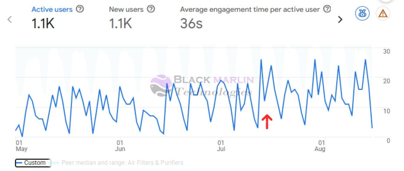 Garant Filter Google Analytics
